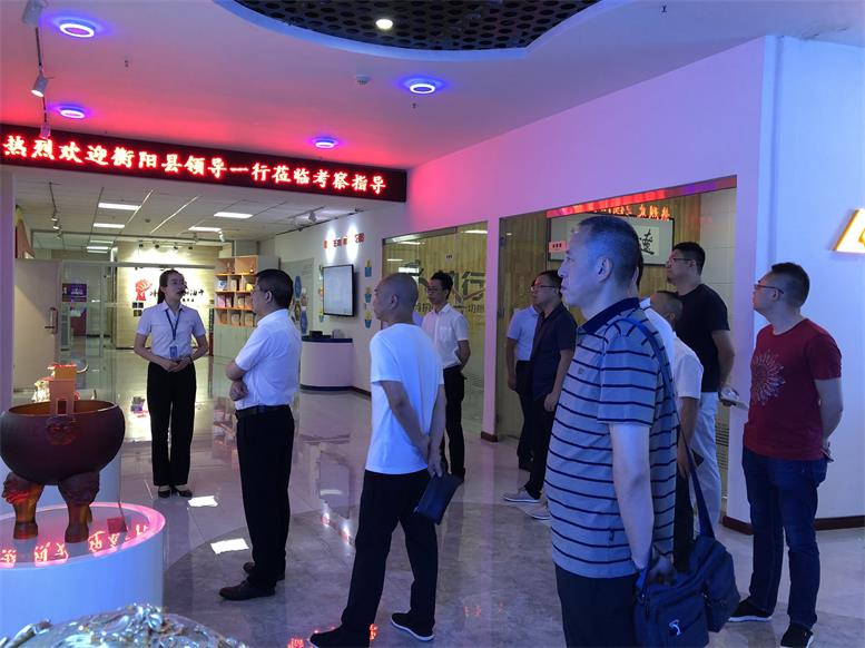 湖南省衡阳县常务副县长王苏龙一行莅临加拿大pc28预测集团调查财路大数据项目